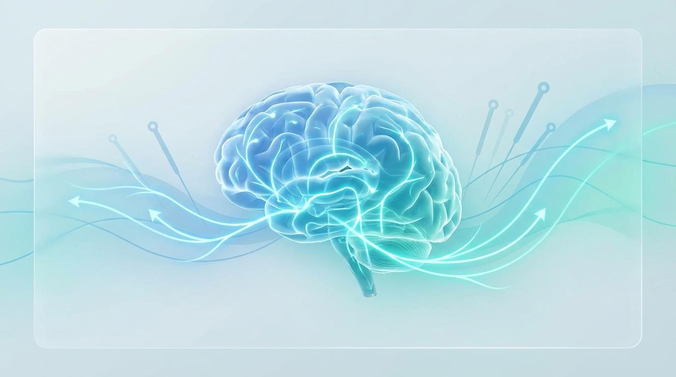 Gehirn und neuronale Netzwerke – Akupunktur bei Schlaganfall